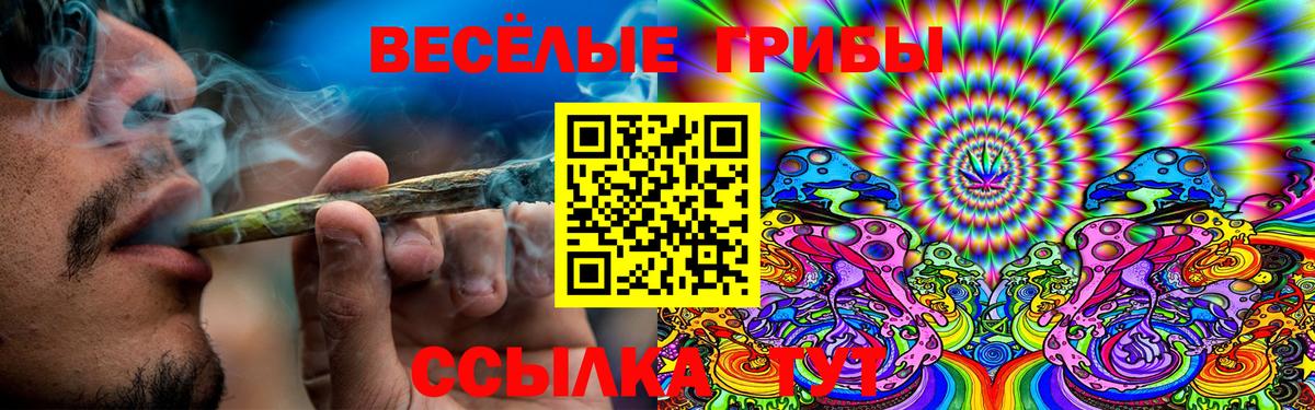 Сибай  Псилоцибиновые грибы ЛСД  Вход с VPN  Галлюциногенные грибы Psilocybine cubensis 