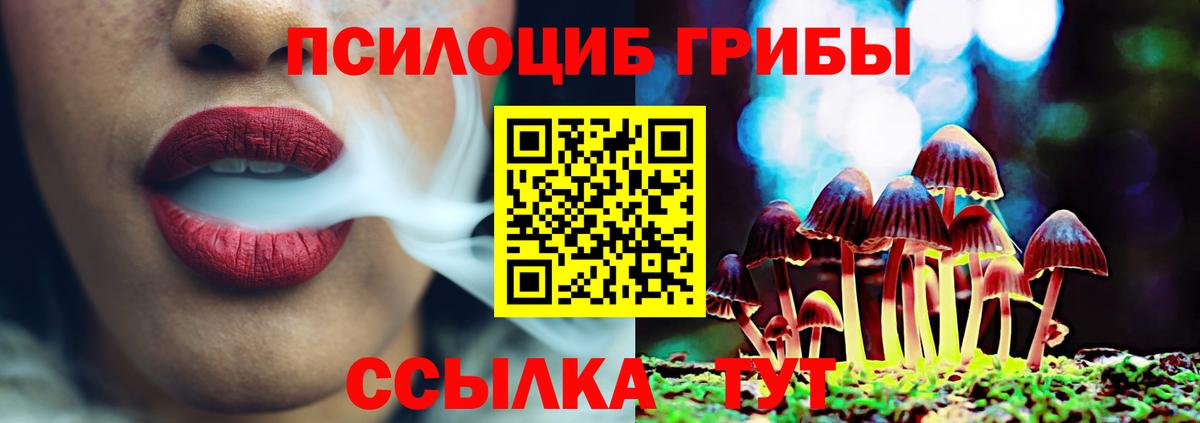 Псилоцибиновые грибы MAGIC MUSHROOMS Сибай